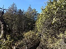 photo thumbnail #7