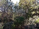 photo thumbnail #13