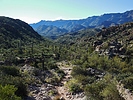 photo thumbnail #4