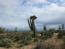photo thumbnail #3