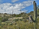 photo thumbnail #6