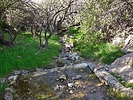 photo thumbnail #10