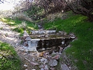 photo thumbnail #11