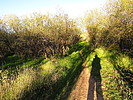 photo thumbnail #4