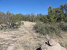 photo thumbnail #11
