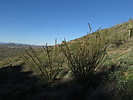 photo thumbnail #12