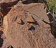 photo thumbnail #10