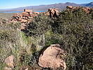 photo thumbnail #15