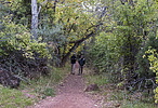 photo thumbnail #6