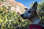 photo thumbnail #14