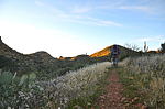 photo thumbnail #12