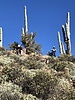 photo thumbnail #2