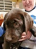photo thumbnail #4