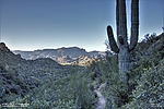 photo thumbnail #10