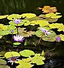 photo thumbnail #12