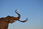 photo thumbnail #3