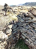 photo thumbnail #11