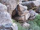 photo thumbnail #5