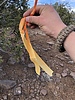 photo thumbnail #10