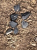 photo thumbnail #8