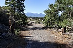 photo thumbnail #4