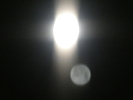 photo thumbnail #12