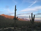photo thumbnail #2