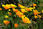 photo thumbnail #10