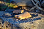 photo thumbnail #4