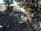 photo thumbnail #8