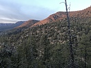 photo thumbnail #8
