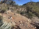 photo thumbnail #6