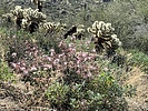 photo thumbnail #12