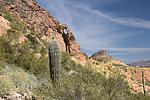 photo thumbnail #13