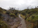 photo thumbnail #12