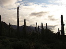 photo thumbnail #15