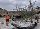 photo thumbnail #1