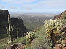 photo thumbnail #7