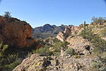 photo thumbnail #1
