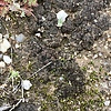 photo thumbnail #15
