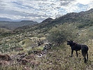 photo thumbnail #3