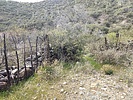 photo thumbnail #9
