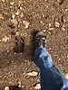 photo thumbnail #2