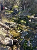 photo thumbnail #12