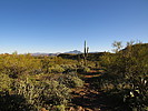 photo thumbnail #3