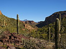 photo thumbnail #12