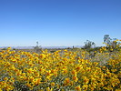 photo thumbnail #15