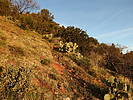 photo thumbnail #3