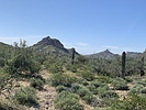 photo thumbnail #2