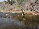 photo thumbnail #9